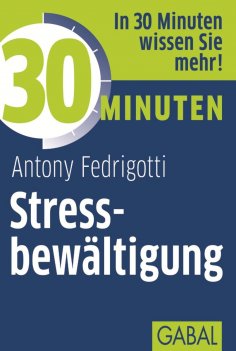 ebook: 30 Minuten Stressbewältigung