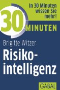 ebook: 30 Minuten Risikointelligenz