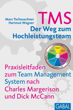 ebook: TMS - Der Weg zum Hochleistungsteam