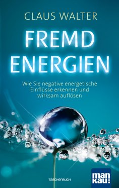 ebook: Fremdenergien