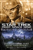 ebook: Star Trek - Die Welten von Deep Space Nine 5
