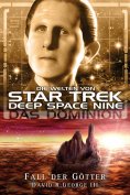 ebook: Star Trek - Die Welten von Deep Space Nine 06: Das Dominion - Fall der Götter