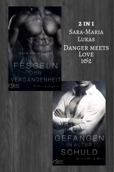 ebook: Danger meets Love-Bundle (Gesamtausgabe)