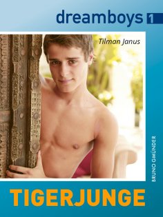ebook: dreamboys 1: Tigerjunge