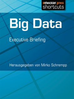 ebook: Big Data