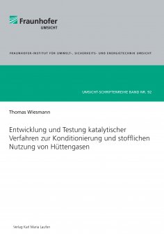ebook: Entwicklung und Testung katalytischer Verfahren zur Konditionierung und stofflichen Nutzung von Hütt
