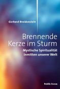 eBook: Brennende Kerze im Sturm