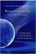 eBook: What should have been kept hidden from You: Reincarnation. Life's Gift of Grace
