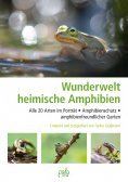 eBook: Wunderwelt heimische Amphibien