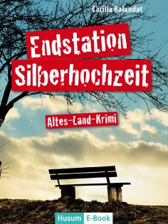 ebook: Endstation Silberhochzeit
