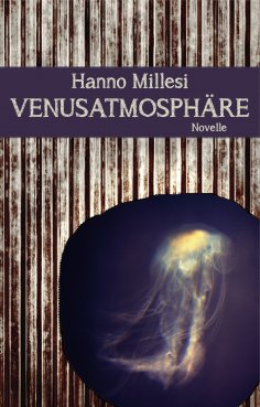 eBook: Venusatmosphäre