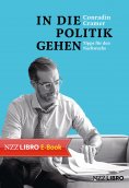 ebook: In die Politik gehen