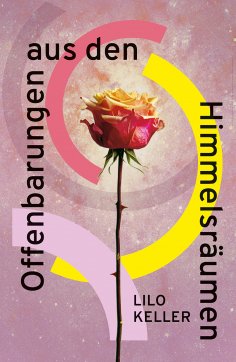 ebook: Offenbarungen aus den Himmelsräumen