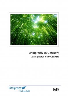 eBook: Modul 5: Strategien für mehr Geschäft