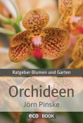 eBook: Orchideen