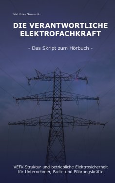 ebook: Die Verantwortliche Elektrofachkraft