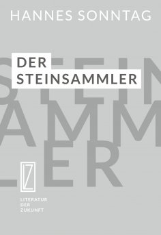 eBook: Der Steinsammler