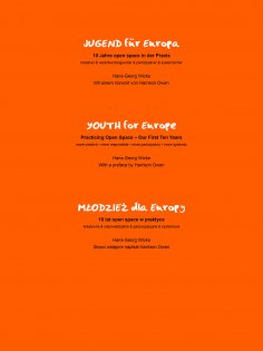 eBook: Jugend für Europa, 10 Jahre open space Praxis