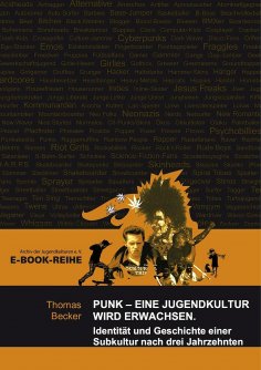 ebook: Punk - Eine Jugendkultur wird erwachsen