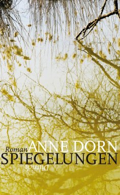 ebook: Spiegelungen