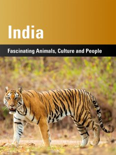 eBook: India