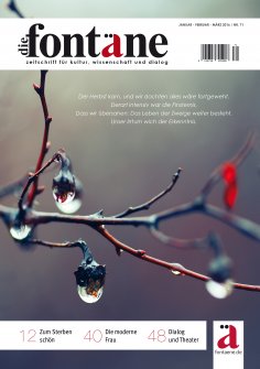 ebook: Die Fontäne