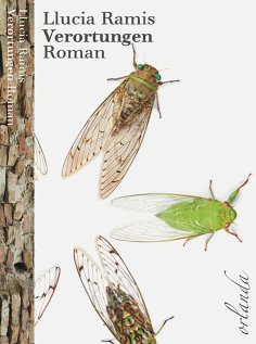eBook: Verortungen