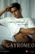 eBook: Gay Romeo
