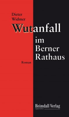 eBook: Wutanfall im Berner Rathaus