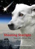 ebook: Shooting Starlight