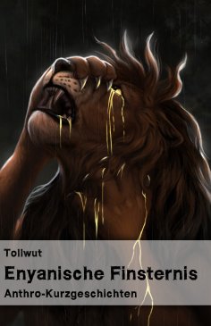 eBook: Enyanische Finsternis