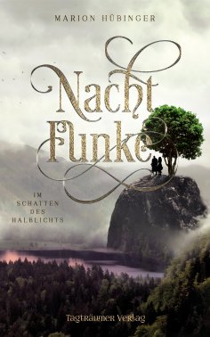 ebook: Nachtfunke 2