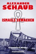 eBook: Ismaels Erwachen