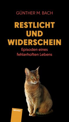 eBook: Restlicht und Widerschein