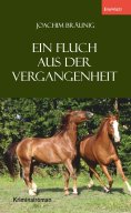 eBook: Ein Fluch aus der Vergangenheit