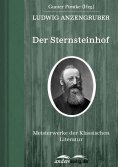 ebook: Der Sternsteinhof