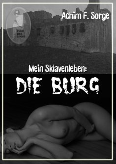 ebook: Mein Sklavenleben: Die Burg