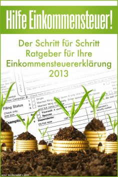 eBook: Hilfe Einkommensteuer! Der Schritt für Schritt Ratgeber für Ihre Einkommensteuererklärung 2013