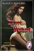 ebook: Im Zirkel der Wollust (BDSM, MaleDom)
