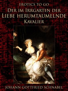 ebook: Der im Irrgarten der Liebe herumtaumelnde Kavalier