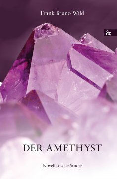 eBook: Der Amethyst