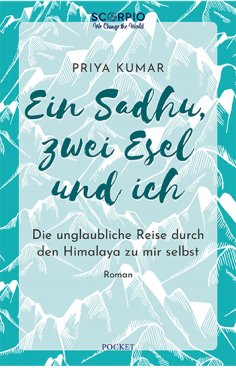 eBook: Ein Sadhu, zwei Esel und ich