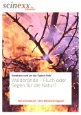 eBook: Waldbrände