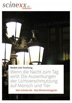 ebook: Wenn die Nacht zum Tag wird