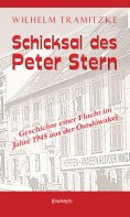 eBook: Schicksal des Peter Stern