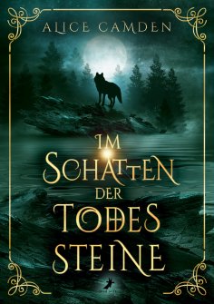 ebook: Im Schatten der Todessteine