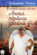 eBook: Книга первая. Ангел первого уровня