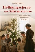 ebook: Hoffnungssterne am Adventsbaum