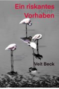 eBook: Ein riskantes Vorhaben