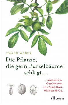 eBook: Die Pflanze, die gern Purzelbäume schlägt …